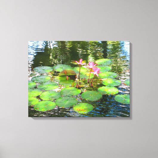 TOILE OAHU HAWAII #8 CANVAS (Recto)