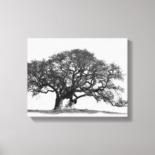 TOILE OAK TREE (Recto)