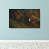 Toile Obscura (Insitu (Plancher de Bois))