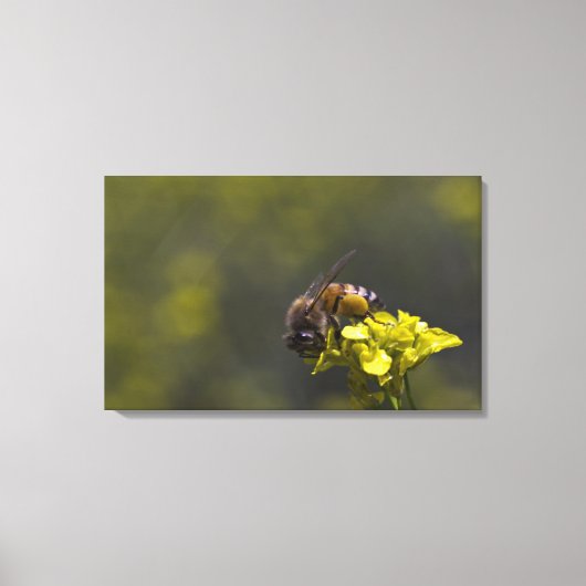 Toile Occupé comme une abeille (Recto)