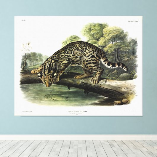 Toile Ocelot, léopard-chat (Leopardus pardalis) - Audubo (Insitu (Plancher de Bois))