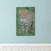 Toile OCELOT Leopardus pardalis) AMÉRIQUE CENTRALE (Insitu (Plancher de Bois))