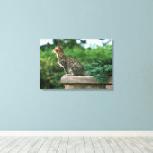 Toile Ocicat 2 (Insitu (Plancher de Bois))