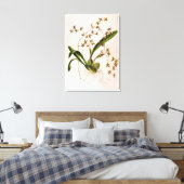 Toile Odontoglossum Hastatum (Insitu(Chambre))