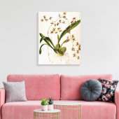 Toile Odontoglossum Hastatum (Insitu(Salon))