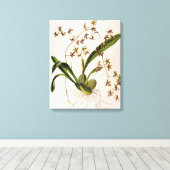 Toile Odontoglossum Hastatum (Insitu (Plancher de Bois))