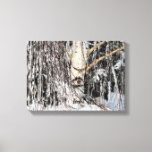 Toile OEil de Birch en pleurs (Recto)