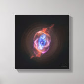 Toile Oeil de chat (Recto)