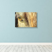 Toile Oeil de cheval noir (Insitu (Plancher de Bois))