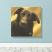 Toile Oeil de chien sage âne animal (Insitu (Plancher de Bois))