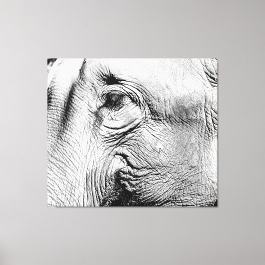Toile Oeil des éléphants, 2017 (Recto)