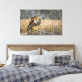 Toile oeil des faucons (Insitu(Chambre))