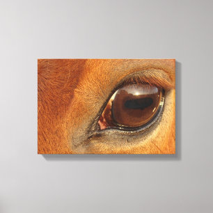Toile Oeil du cheval Sorrel