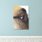 Toile OEil du grand Danois (Insitu (Plancher de Bois))