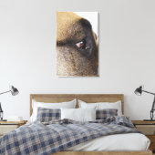 Toile OEil du grand Danois (Insitu(Chambre))