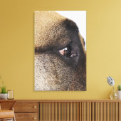 Toile OEil du grand Danois (Insitu(Salon))