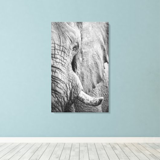 Toile Oeil éléphant (Insitu (Plancher de Bois))