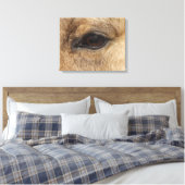 Toile OEil en peau de seau (Insitu(Chambre))