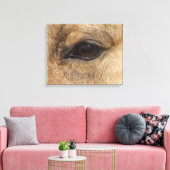 Toile OEil en peau de seau (Insitu(Salon))