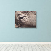 Toile OEil rhinocéros (Insitu (Plancher de Bois))