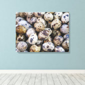 Toile Oeufs de caille (Insitu (Plancher de Bois))