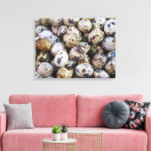 Toile Oeufs de caille (Insitu(Salon))