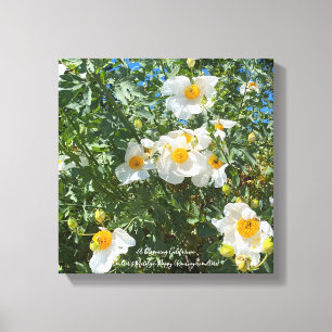 Toile Oeufs frits de Californie