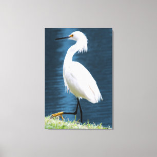 Toile Œuvre d'art murale d'aigrette minimaliste de la na