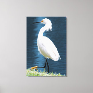 Toile Œuvre d'art murale d'aigrette minimaliste de la na