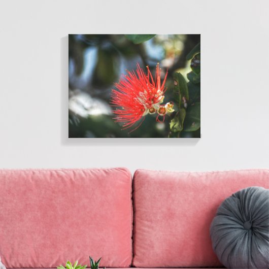 Toile Ohia Lehua Blossom (Insitu(Salon))