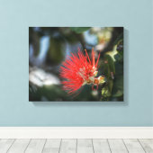 Toile Ohia Lehua Blossom (Insitu (Plancher de Bois))