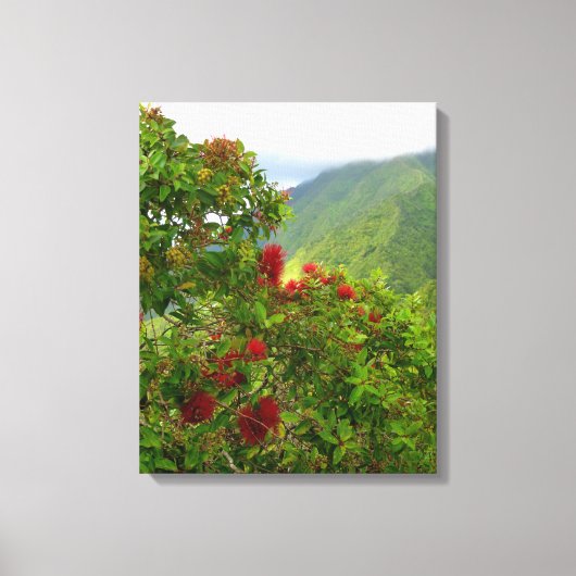 Toile Ohia Lehua Blossoms (Recto)