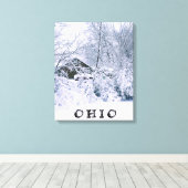 TOILE OHIO EN HIVER 2020 (Insitu (Plancher de Bois))