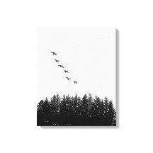Oie volante minimaliste et arbre à pin monochrome