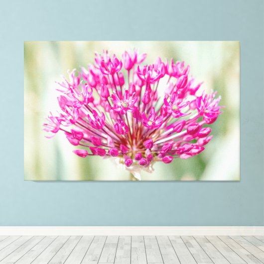 Toile Oignon (Insitu (Plancher de Bois))