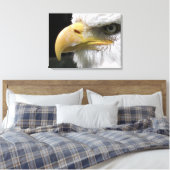 TOILE OISEAU D'AGLE (Insitu(Chambre))