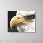 TOILE OISEAU D'AGLE (Recto)