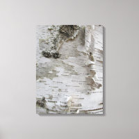Oiseau d'arbre de bouleau Peelé Vieux art photo