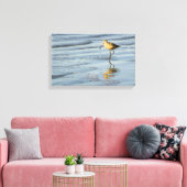 Toile Oiseau de mer 3 (Insitu(Salon))