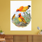 Toile Oiseau D'Or vintage Du Paradis (Insitu(Salon))