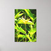 Toile Oiseau du Paradis (Recto)