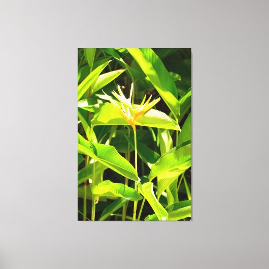 Toile Oiseau du Paradis (Recto)