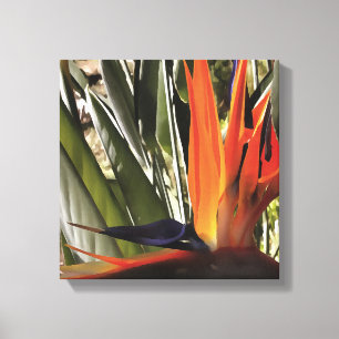 Toile Oiseau du Paradis Strelitzia Reginae Acrylique Pai
