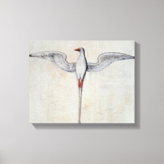 Toile Oiseau tropique (Recto)