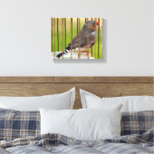 Toile Oiseau Zebra Finch en cage (Insitu(Chambre))