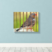Toile Oiseau Zebra Finch en cage (Insitu (Plancher de Bois))