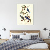 Toile Oiseaux bleus et Paruline, Oiseaux d'Amérique d'Au (Insitu(Chambre))