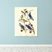 Toile Oiseaux bleus et Paruline, Oiseaux d'Amérique d'Au (Insitu (Plancher de Bois))