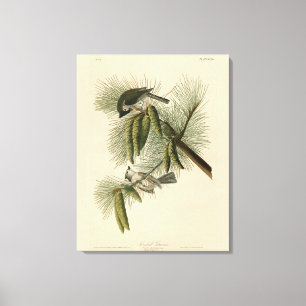 Toile Oiseaux d'Amérique à pois (touffus)