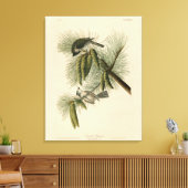 Toile Oiseaux d'Amérique à pois (touffus) (Insitu(Salon))